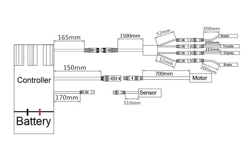E-Bike Umbausatz 36V 350W 28"(700C) Heckmotor Kit für Kassette/Steckkranz mit 36V 13Ah Akku und Ladegerät Elektrofahrrad Conversion Kit